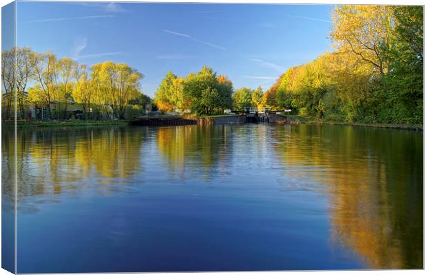 Autumn Colours, Sheffield Canal Canvas Print by Darren Galpin