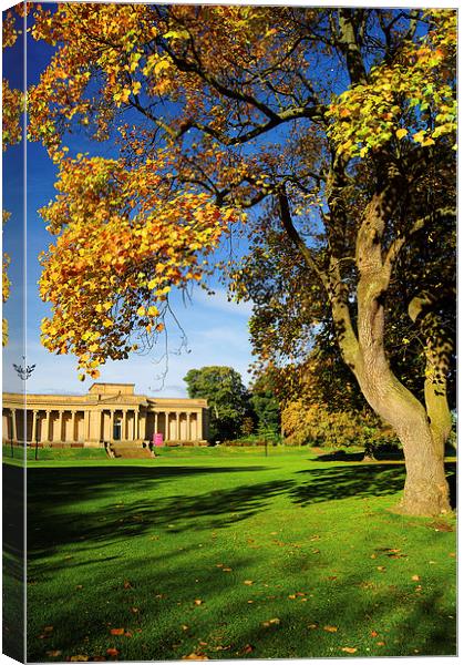 Weston Park Museum and Park Canvas Print by Darren Galpin