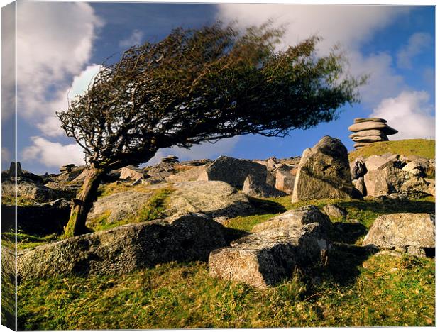 Bodmin Moor Stowes Hill Canvas Print by Darren Galpin