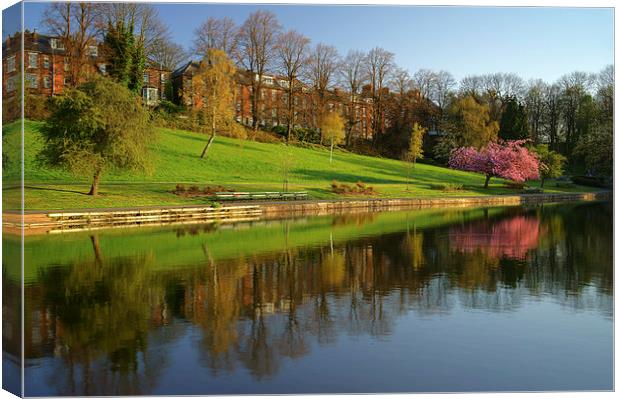 Crookes Valley Park Reflections Canvas Print by Darren Galpin