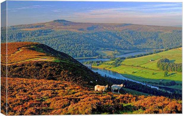 Ladybower Lookout Canvas Print by Darren Galpin