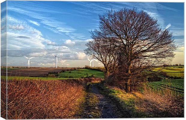 Pathway to Penny Hill Canvas Print by Darren Galpin