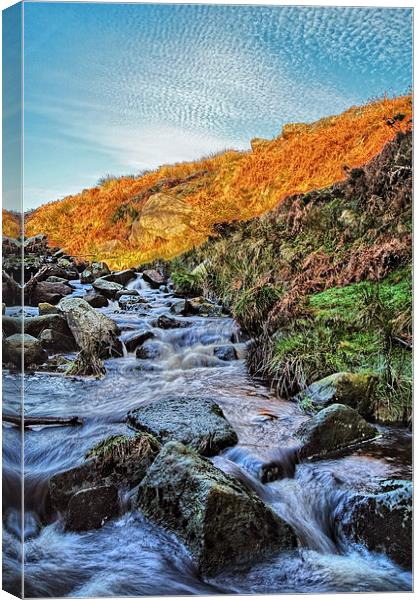 Burbage Brook Waterfalls Canvas Print by Darren Galpin
