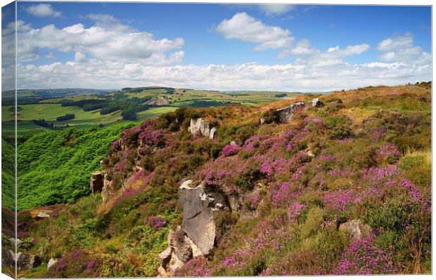 Baslow Edge  Canvas Print by Darren Galpin