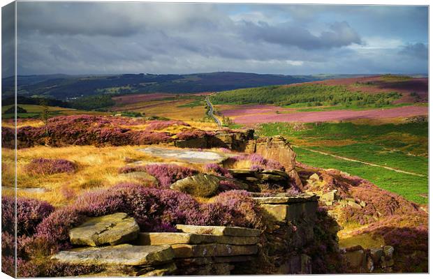 Burbage Rocks and Valley in Summer Canvas Print by Darren Galpin