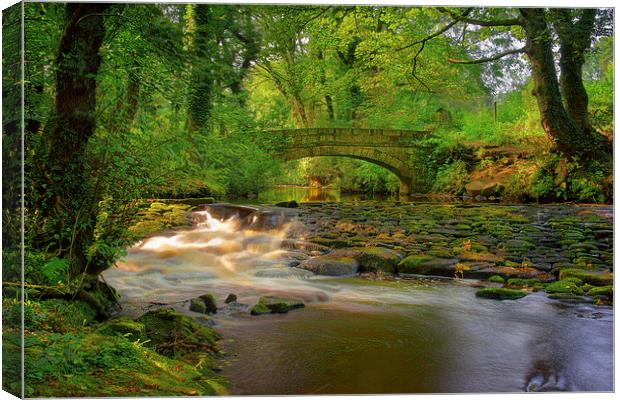 Rivelin Packhorse Bridge Reflections Canvas Print by Darren Galpin