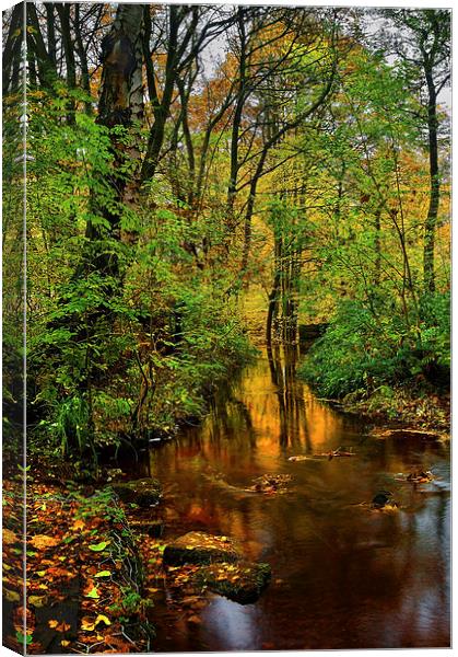 Rivelin Autumn Reflections  Canvas Print by Darren Galpin