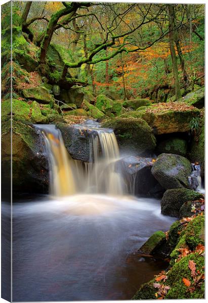 Padley Gorge  Canvas Print by Darren Galpin