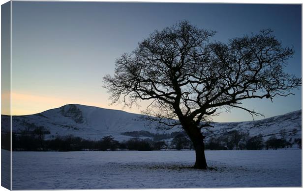 Mam Tor and Lone Tree  Canvas Print by Darren Galpin