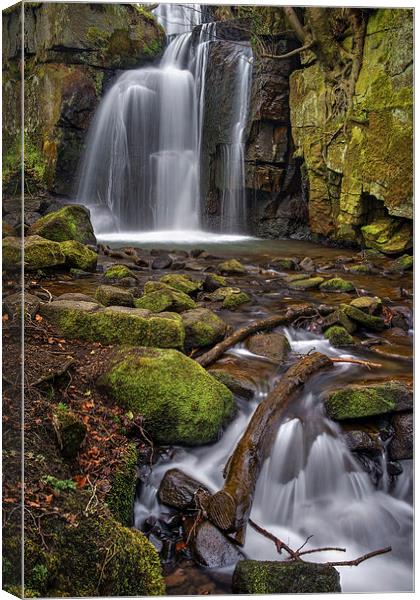 Lumsdale Falls and Bentley Brook  Canvas Print by Darren Galpin