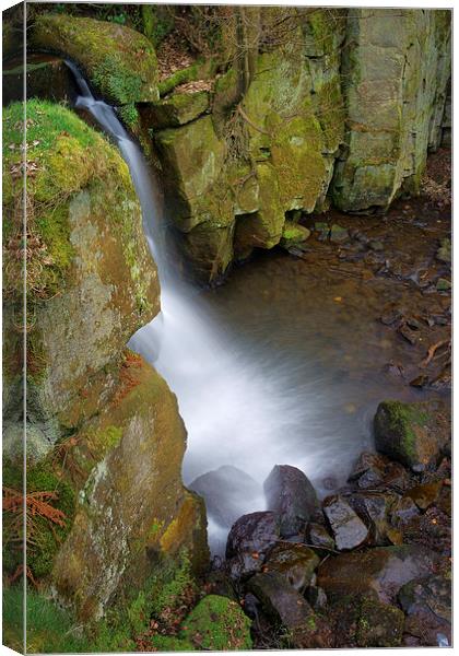 Looking Down Lumsdale Falls  Canvas Print by Darren Galpin