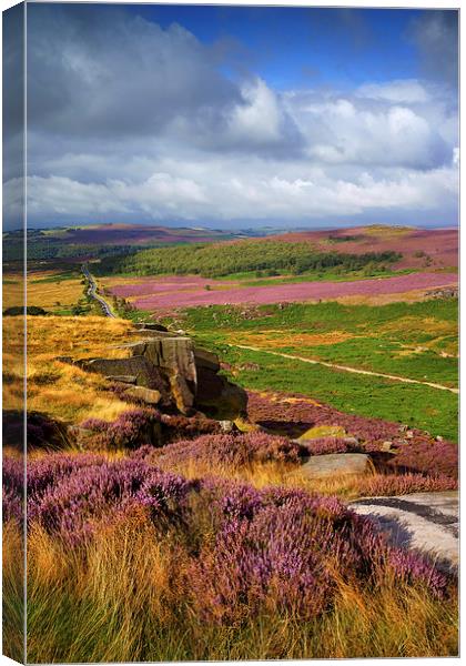 Burbage Rocks and Valley  Canvas Print by Darren Galpin