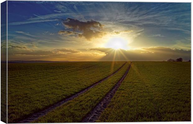 Penny Hill Sunset Canvas Print by Darren Galpin