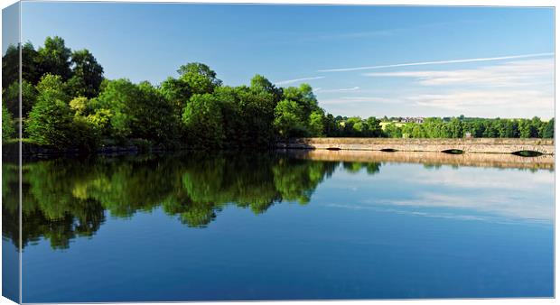 Ulley Reservoir Panorama  Canvas Print by Darren Galpin