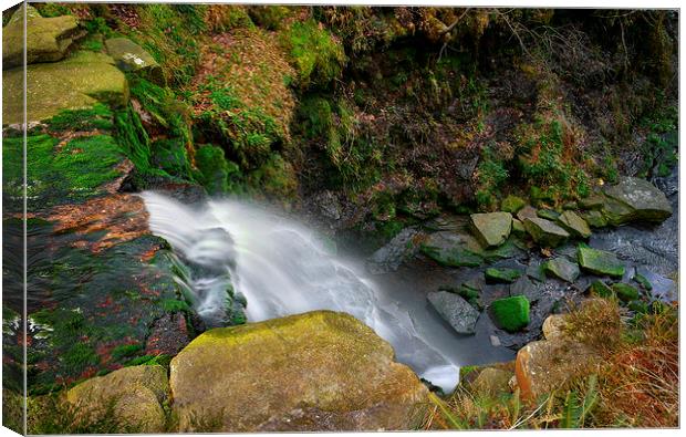 Looking Down Middle Black Clough Falls  Canvas Print by Darren Galpin