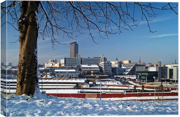 Sheffield City Centre viewed from Park Hill  Canvas Print by Darren Galpin