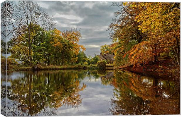 Bentley Brook Mill Pond  Canvas Print by Darren Galpin