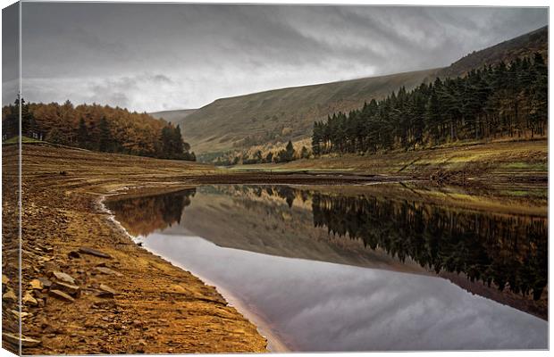 Howden Autumn Reflections  Canvas Print by Darren Galpin