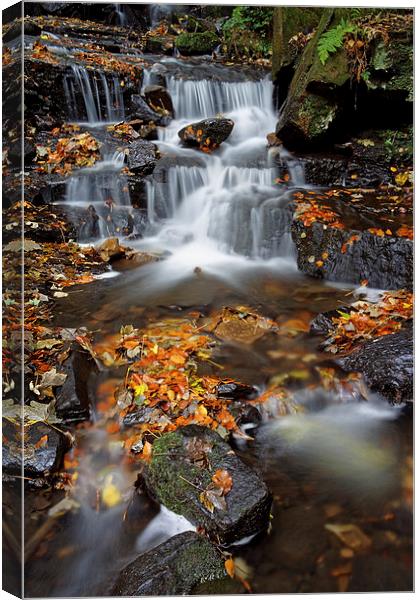 Lumsdale Waterfalls with Autumn Leaves  Canvas Print by Darren Galpin