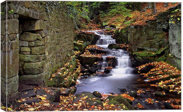 Lumsdale Waterfalls and Mill  Canvas Print by Darren Galpin