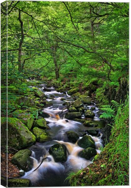 Looking Down Padley Gorge Canvas Print by Darren Galpin