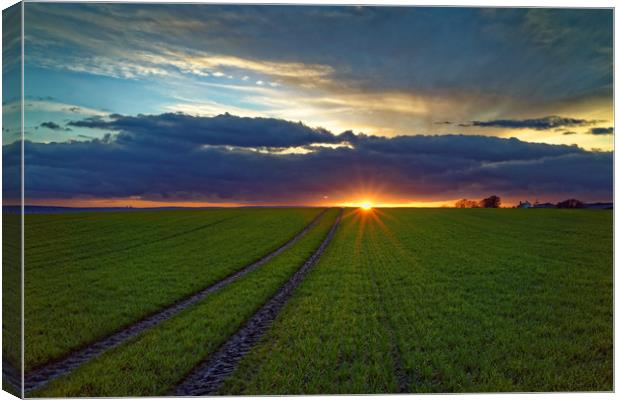 Penny Hill Farmland Sunset Canvas Print by Darren Galpin