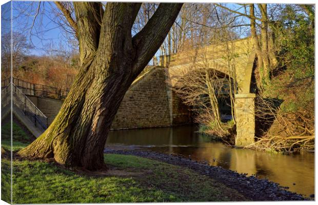 Archer Road Bridge & River Sheaf Canvas Print by Darren Galpin