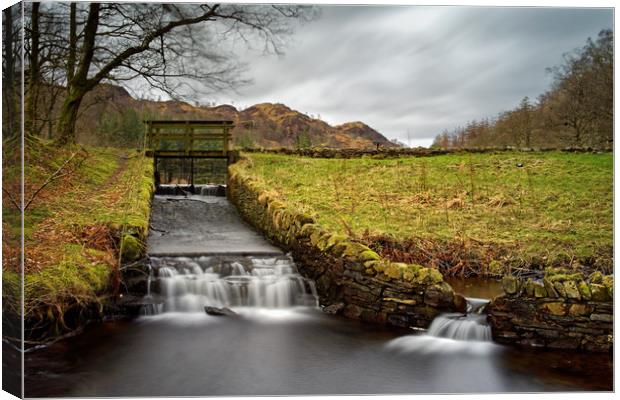 Yew Tree Beck and Tarn Canvas Print by Darren Galpin