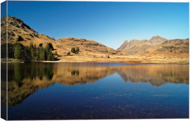 Blea Tarn                  Canvas Print by Darren Galpin