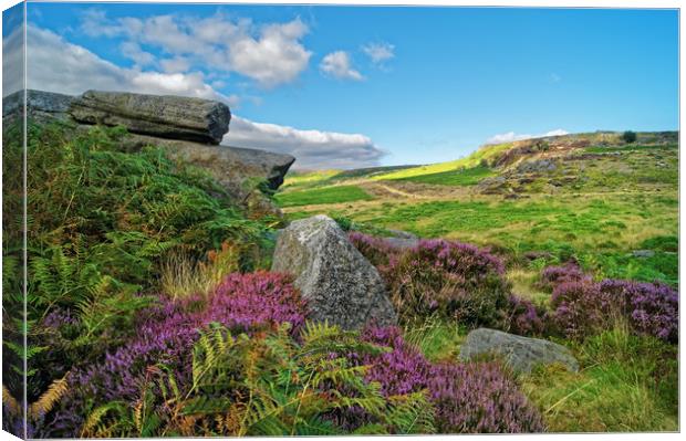 Burbage Rocks and Valley                        Canvas Print by Darren Galpin