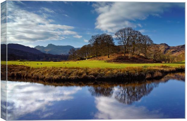 River Brathay Reflections                          Canvas Print by Darren Galpin