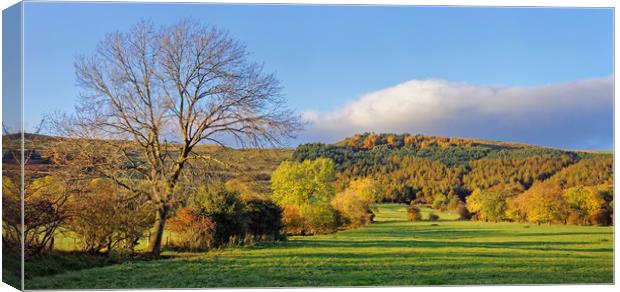 Hope Valley during Autumn                          Canvas Print by Darren Galpin