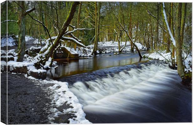 Holme Head Weir, Rivelin                           Canvas Print by Darren Galpin