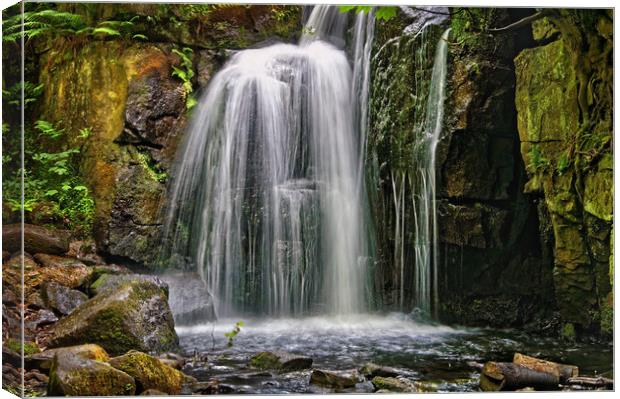 Lumsdale Falls in Summer                       Canvas Print by Darren Galpin