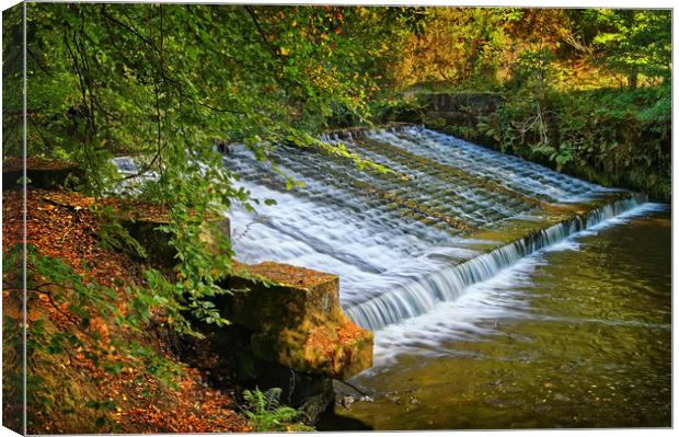 Loxley Weir                        Canvas Print by Darren Galpin