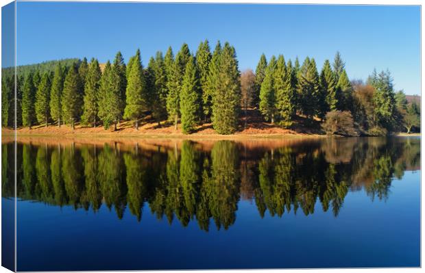 Derwent Inlet Reflections                      Canvas Print by Darren Galpin