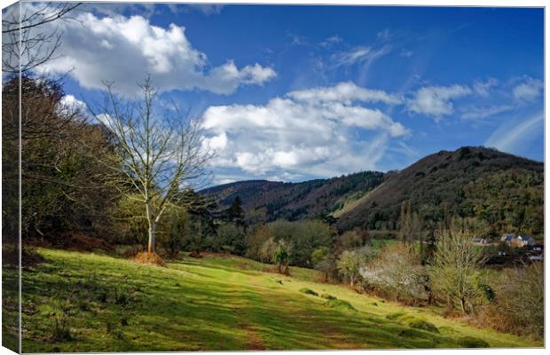 Exmoor Countryside at Dunster                      Canvas Print by Darren Galpin