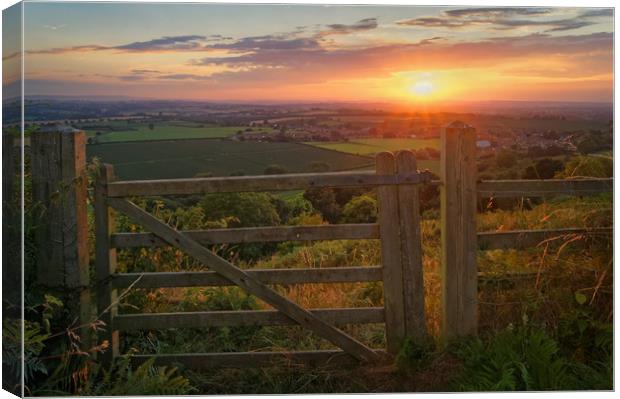 Ham Hill Sunset                        Canvas Print by Darren Galpin