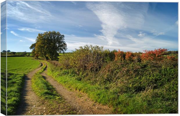Footpath to Bounds Lane                       Canvas Print by Darren Galpin