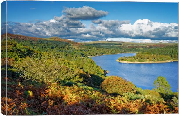 Burrator Reservoir                                Canvas Print by Darren Galpin