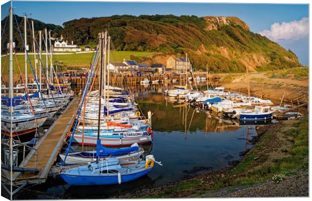 Axmouth Harbour & Haven Cliff                      Canvas Print by Darren Galpin