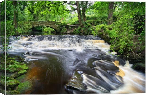 Rivelin Packhorse Bridge & Weir                   Canvas Print by Darren Galpin