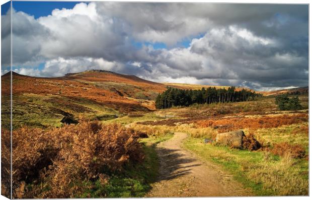 Footpath to Higger Tor                        Canvas Print by Darren Galpin