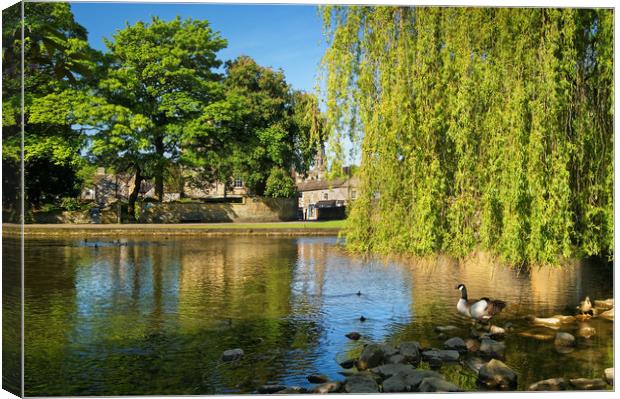 River Wye at Bakewell                        Canvas Print by Darren Galpin