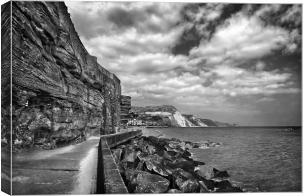 Coastline at Sidmouth                          Canvas Print by Darren Galpin
