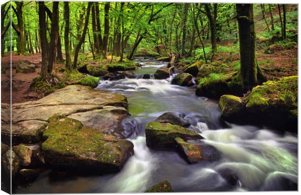 Golitha Falls Canvas Print by Darren Galpin