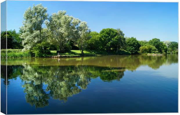 Dearne Valley Country Park                         Canvas Print by Darren Galpin