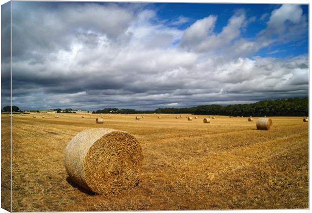  Hay Bales in South Yorkshire                      Canvas Print by Darren Galpin