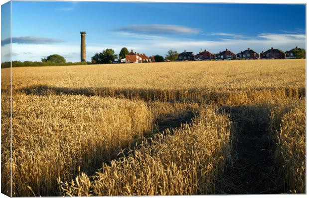 Keppels Column and Field of Wheat                  Canvas Print by Darren Galpin