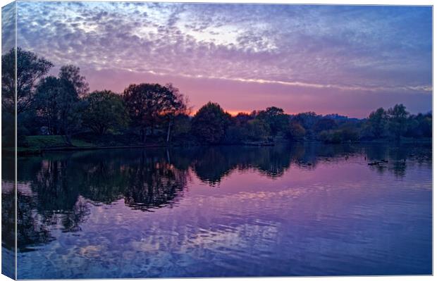 Dearne Valley Country Park Sunset Canvas Print by Darren Galpin